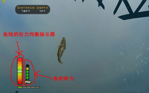 模拟专业钓鱼2009游戏截图6