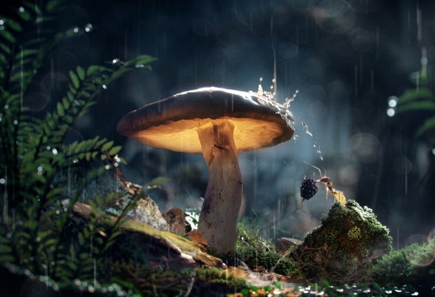 corona渲染器(Corona Renderer 4)截图1