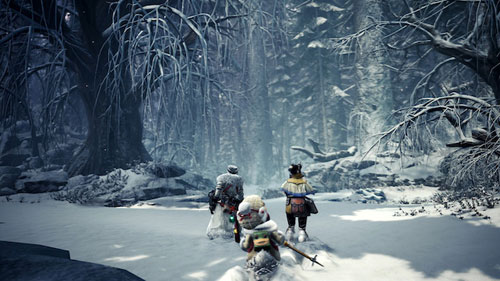 怪物猎人世界冰原游戏截图