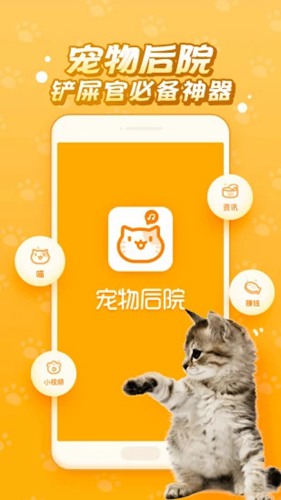 逗猫咪app截图1