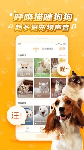 逗猫咪app2