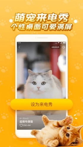 逗猫咪app截图3