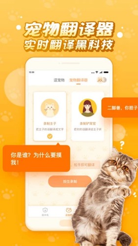 逗猫咪app4