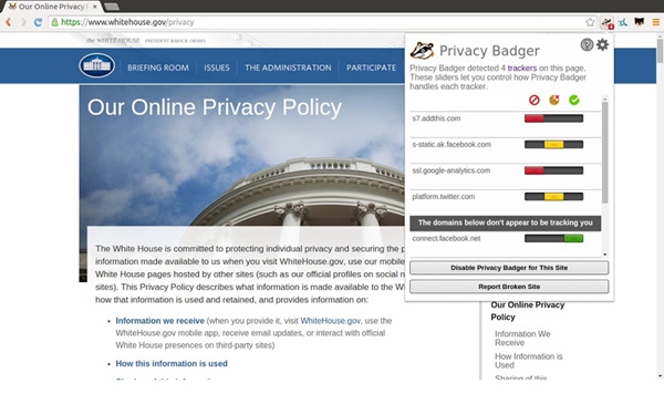 privacy badger隐私獾图
