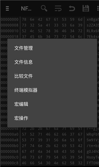 HEX编辑器安卓中文版截图4