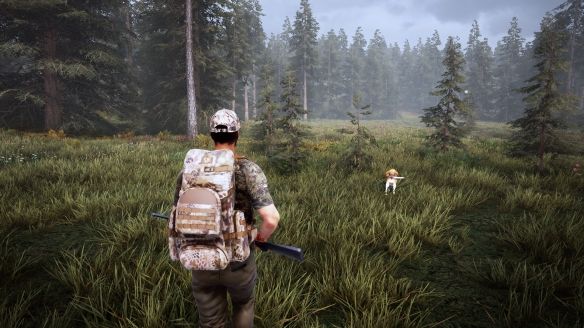 模拟狩猎游戏截图7