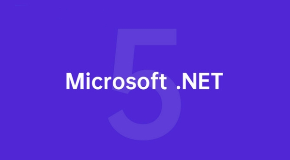 .Net Framework 5.0图片