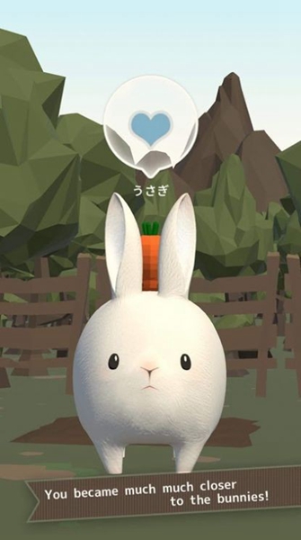 兔子真是太可爱了21