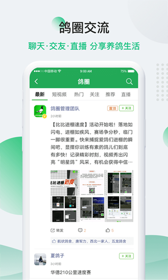中国信鸽信息网2