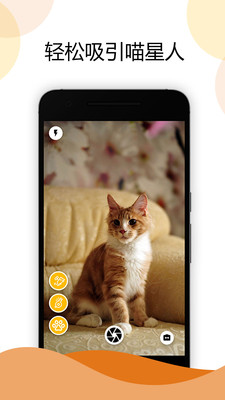 猫咪相机app2