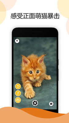猫咪相机app3