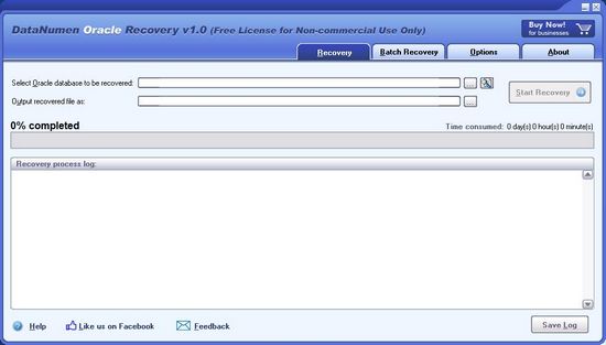 DataNumen Oracle Recovery1