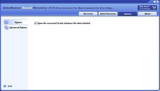 DataNumen Oracle Recovery3