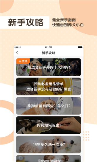 芯爱app5