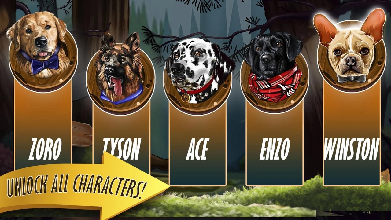 Zoro宠物狗比赛5