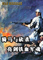 骑马与砍杀亮剑mod