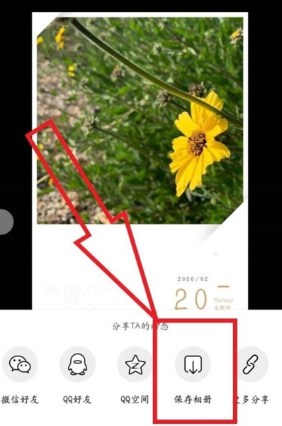 绿洲app怎么保存图片3