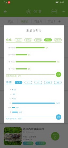 甲虫饲育者截图4
