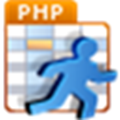 PHPRunner pro+