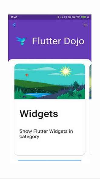 flutter_dojo截图1
