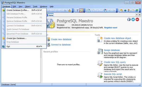 PostgreSQL Maestro软件图片3