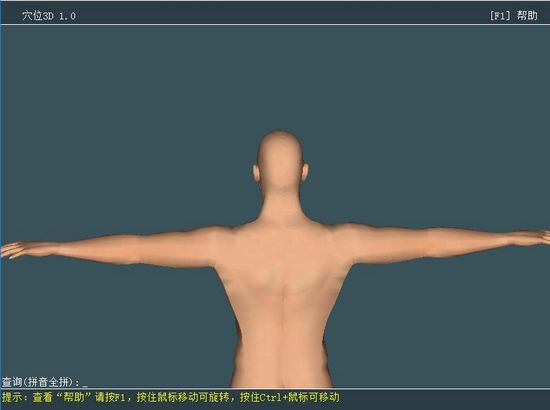 人体穴位3D模型软件图片