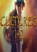 文化2