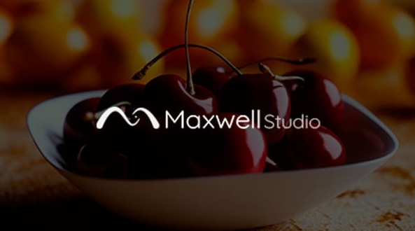 Maxwell Studio软件图片3