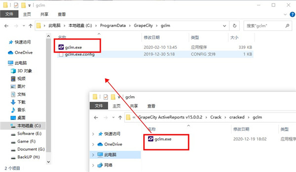 ActiveReports 15图片11