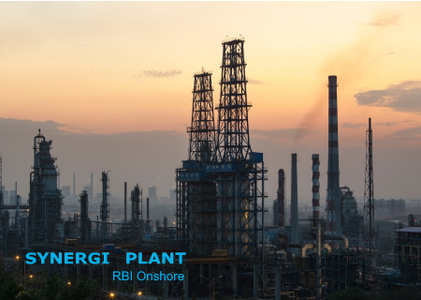 DNV Synergi Plant RBI Onshore图片1
