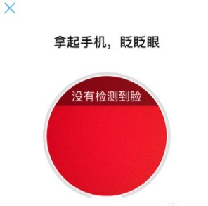 广东国税app图片10