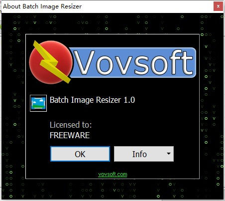 VOVSOFT Batch Image Resizer截图2