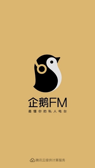 企鹅FM1