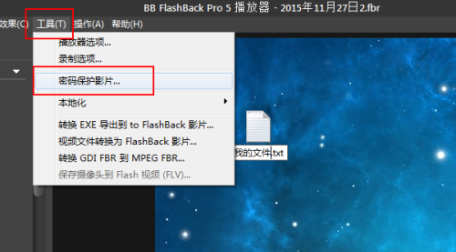 BB FlashBack Pro5播放器图片13