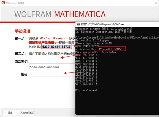 Mathematica13图片12