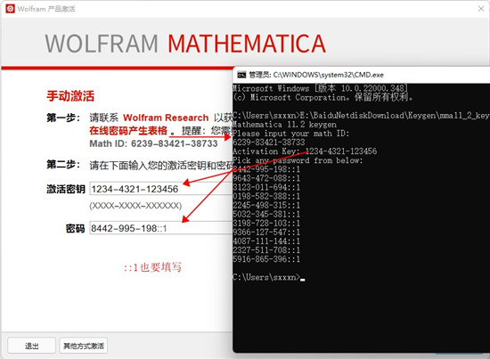 Mathematica13图片13