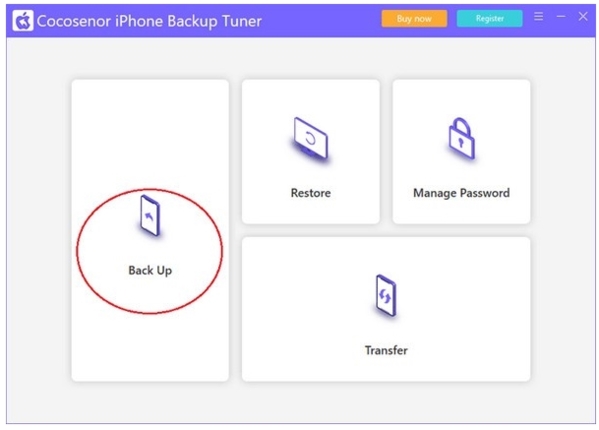 Cocosenor iPhone Backup Tuner图片2