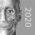 人体解剖学图谱2021