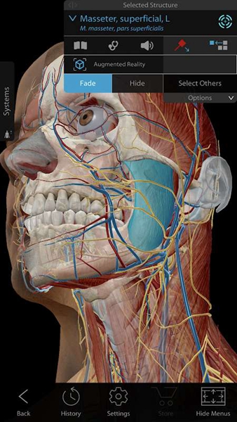 人体解剖学图谱2021截图2