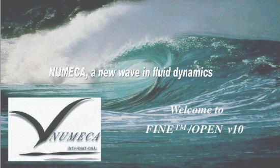NUMECA FINE/Open 101