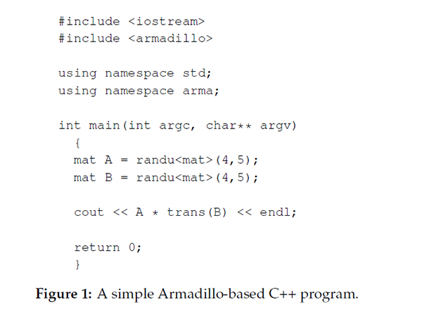 Armadillo图片4