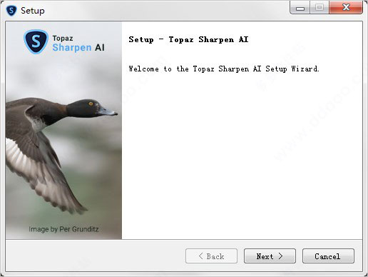 Topaz Sharpen AI图片2