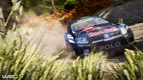 WRC6拉力锦标赛游戏图片3