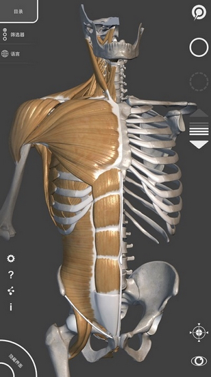 艺术家之3D解剖图免费版截图1