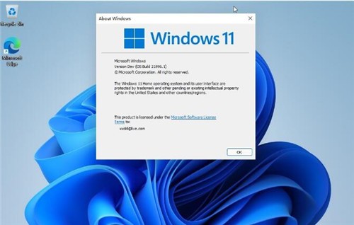 Windows11消费者版本