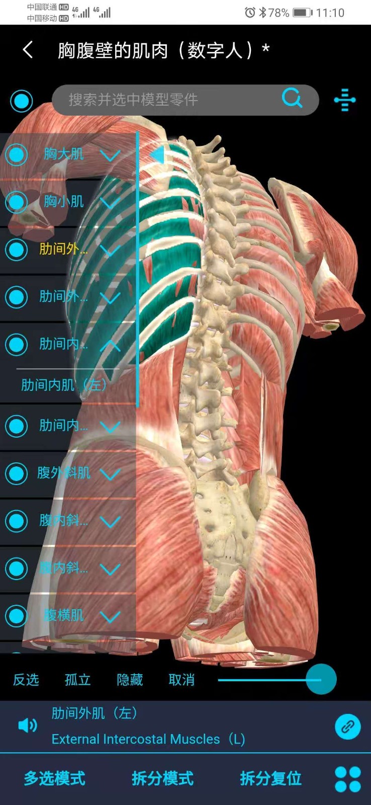 医维度3d人体解剖截图2