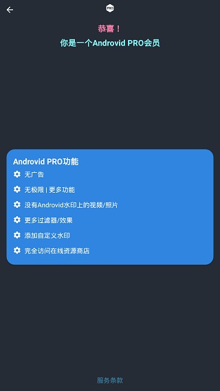 AndroVid Pro中文版截图4