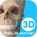 维萨里3d解剖安卓版
