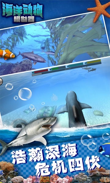 海洋动物模拟器3