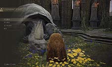 艾尔登法环乌龟老师在哪 结缘NPC有什么用